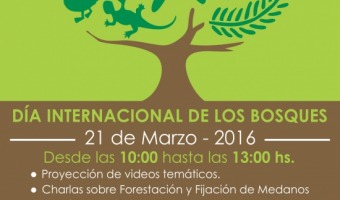 Celebracin del Da Internacional de los bosques